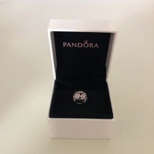 Pandora Charm